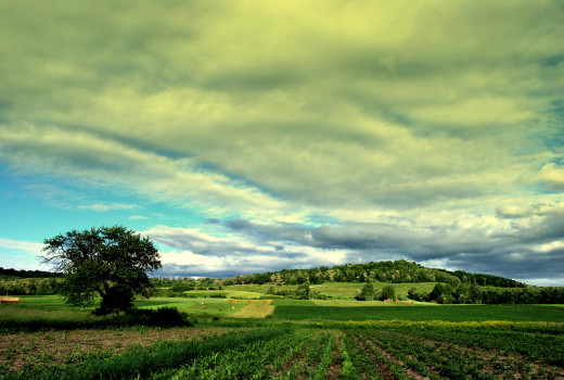 730962 (a): :2896x1944